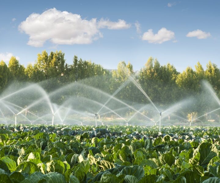 Climate Change Adaptation and Agriculture