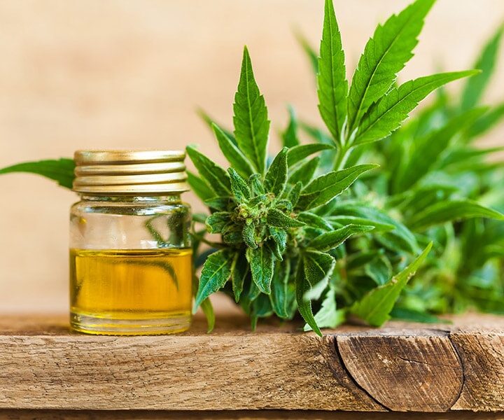 CBD and Women’s Health